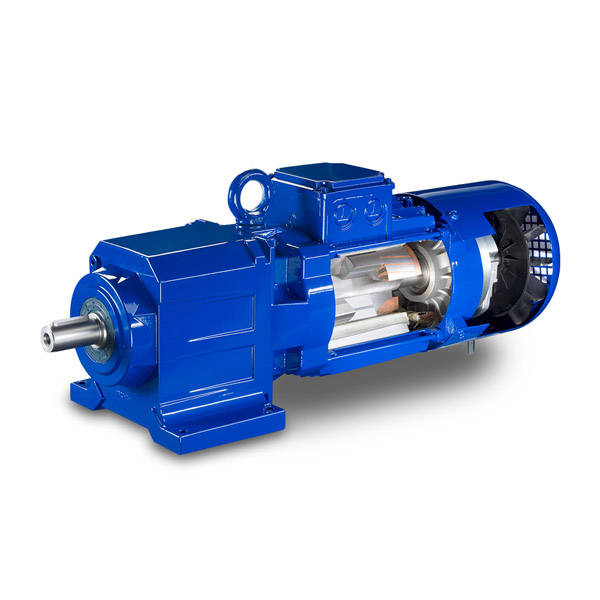 齒輪電機 齒輪電機