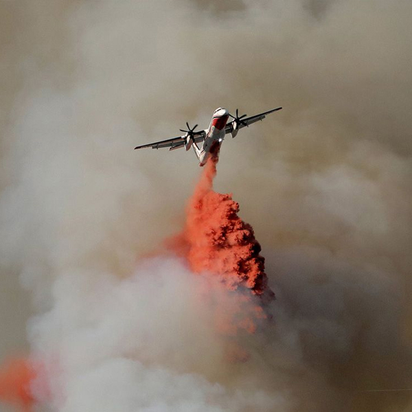 苛刻的環境 苛刻的環境