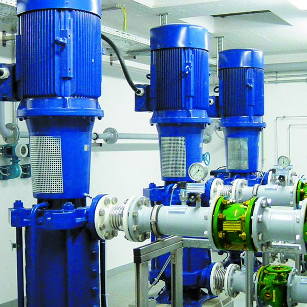 支持系統(tǒng) 支持系統(tǒng)