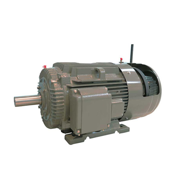 電氣傳動系統電動機 電氣傳動系統電動機