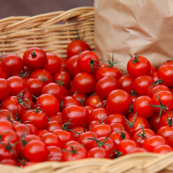 視頻代理設備-準備 視頻代理設備-準備